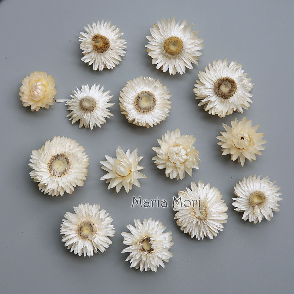 Candle Making Supplies Online - Grinalda de crisântemo colorido seco natural,