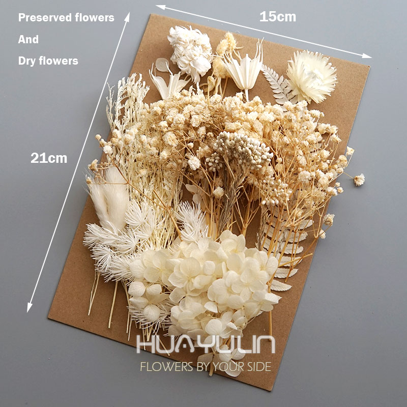 1 pacote de plantas artificiai - Candle Making Supplies Online avaliação e preço